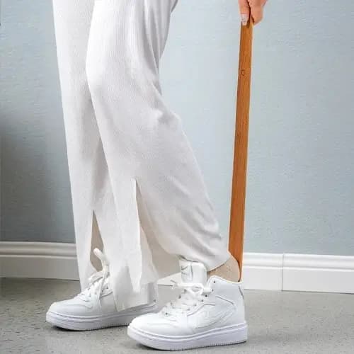 Shoe Horn with Magnetic Handle
